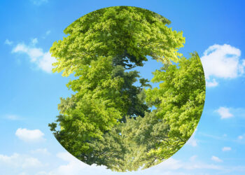 Como reduzir o impacto ambiental do seu posto: soluções práticas e compliance sustentável