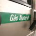 GNV e recarga de veículos elétricos e híbridos: qual o momento certo de oferecê-los no seu posto?